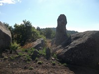 gale-20120725 031